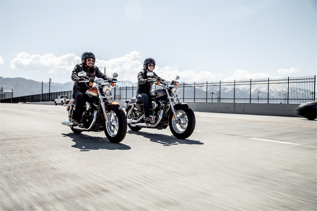 Harley-Davidson 1200 Custom Limited A (2014) - 2ri.de