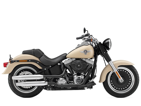 Harley-Davidson Fat Boy Special (2014)