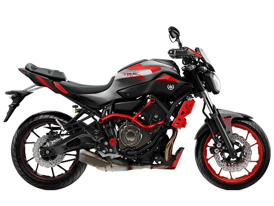 Yamaha MT-07 Moto Cage (2015)