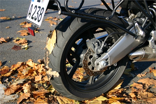 Ratgeber: Mit dem Motorrad durch den Herbst
