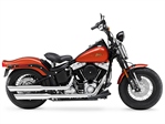 Harley-Davidson Cross Bones (2011)