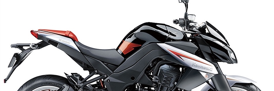 Kawasaki-Schmiedt_168_2.jpg